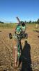 HOULE 6IN X 14FT MANURE PUMP - 7