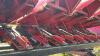 CASE 1083 (8) ROW CORN HEAD ON J&M CART - 15
