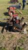 MONARCH IRRIGATION PUMP - 2