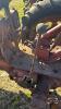 FARMALL H NARROW TRACTOR WITH HAND CLUTCH - 19