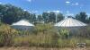 (2) APPROX.1500 BUSHEL GRAIN BINS - 2