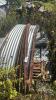 (2) APPROX.1500 BUSHEL GRAIN BINS - 6