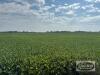99.81 ACRES +/- KNOWN AS 580 DALY ROAD, ST.CLAIR, ON - 5