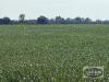 99.81 ACRES +/- KNOWN AS 580 DALY ROAD, ST.CLAIR, ON - 6