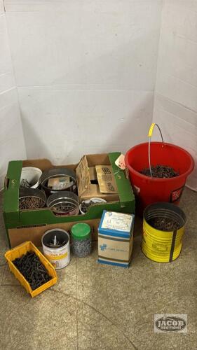 HARDWARE LOT OF NAILS