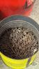 HARDWARE LOT OF NAILS - 5