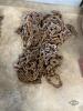 Lot of 4 Logging Chains