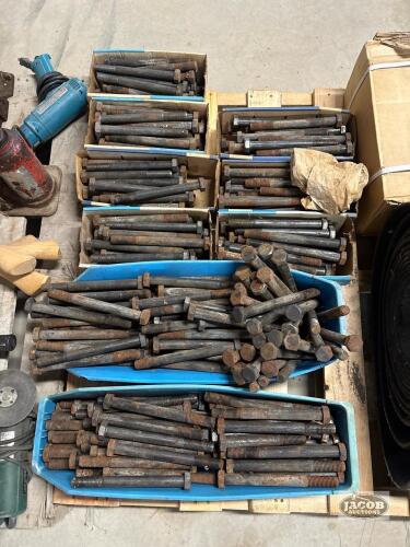 Lot of Assorted Bolts