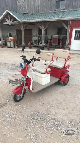 IRGC40 Electic Golfcart/ Tricycle