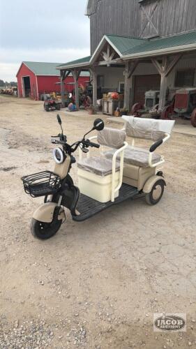 IRGC40 Mini Electric Golfcart/ Tricycle