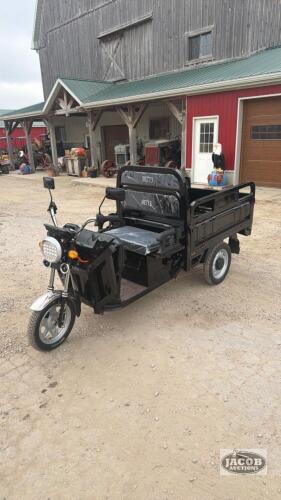 IRET13 Heavy Duty Elecrtic Golfcart/ Tricycle with Dumpbed