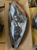 2 Automotive Headlights