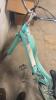 Eletric bike - 4