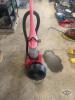 Fan and vacuum