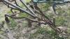 ADJUSTABLE HORSE DRAWN SCUFFLER - 2