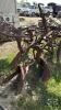 2 FURROW TRAIL PLOW - 4