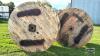 (2) 77IN DIAMETER WOODEN WIRE SPOOLS - 3