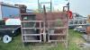 SKID STEER MOUNT BERKELMANS HOOF TRIMMING CHUTE - 4