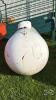 PROPANE TANK 116IN LONG - 2