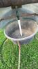 MINERAL FEEDER - 5
