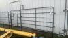 11FT X 5FT STEEL GATE WITH WALK THROUGH MAN GATE - 2