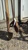 CLAM SHELL POST HOLE DIGGER - 2
