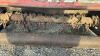 BUSH HOG 3PTH 48IN FLAIL MOWER - 6