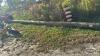 UNUSED 30FT WOODEN HYDRO POLE - 4
