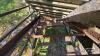STEEL LIVESTOCK ADJUSTABLE LOADING CHUTE - 5