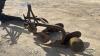 3PTH 2 FURROW PLOW - 4
