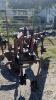 OVERUM 3 FURROW 3PTH PLOW - 2