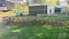 SET OF 15FT CHAIN HARROWS WITH POLE - 5
