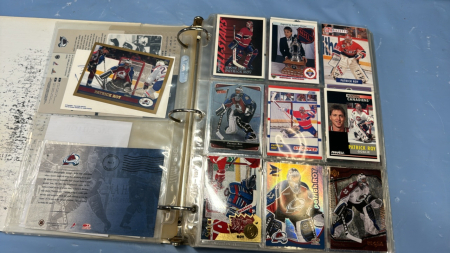 Approximately 270 Patrick Roy Hockey Cards