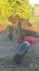 4 FURROW TRAIL PLOW - 3