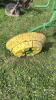 JOHN DEERE ONE-WAY 6.5FT TRAIL DISC - 10