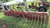 YETTER 3PTH 15FT ROTARY HOE - 2