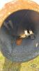 3PTH CEMENT MIXER - 3