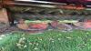 SEE NOTE: KUHN FC 353 RGC 11FT DISCBINE - 11