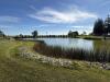 40 COBALT STREET, NORTH, MILVERTON - 13