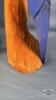 (2) PARROT CARVINGS TALLEST IS 27IN - 6