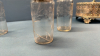 Caster Set with 4 Etched Glass Bottles - 5