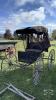 ORNATE HORSE DRAWN BUGGY - 2