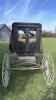 ORNATE HORSE DRAWN BUGGY - 4
