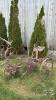 NO. 21 - 1 FURROW RIDING PLOW - 3