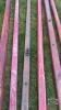 LOT OF 6 WOODEN WAGON TONGUES - 9