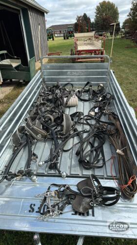 TEAM SET OF NYLON WORK HARNESS
