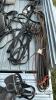 TEAM SET OF NYLON WORK HARNESS - 3