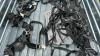 TEAM SET OF NYLON WORK HARNESS - 7