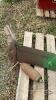 JOHN DEERE 3PTH SINGLE SHANK SUBSOILER - 6