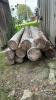 LOT OF 12 CEDAR POSTS - 2